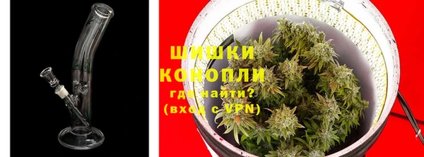 ГАЛЛЮЦИНОГЕННЫЕ ГРИБЫ Артём
