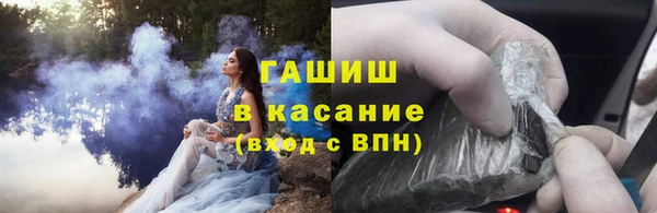 хмурый Щигры
