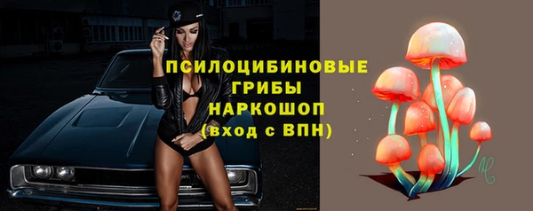 PSILOCYBIN Шали