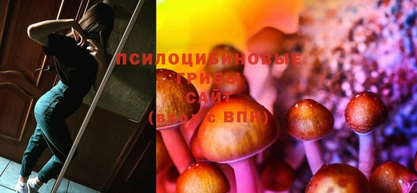 МДПВ Вязники