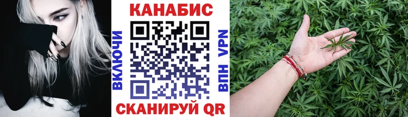 Марихуана сатива  наркошоп  Магас 